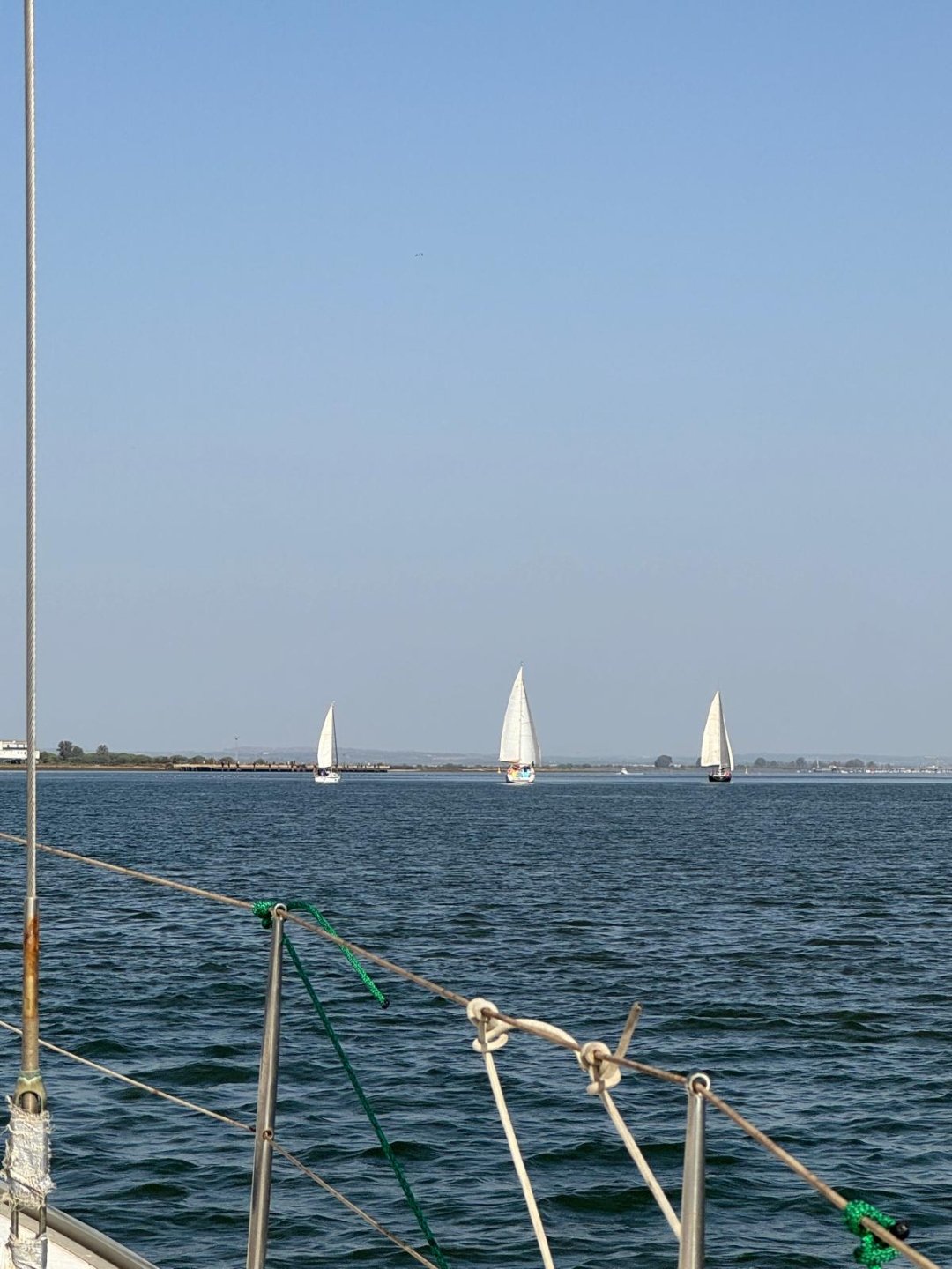Vista panorámica de los veleros participantes en la Bucanera