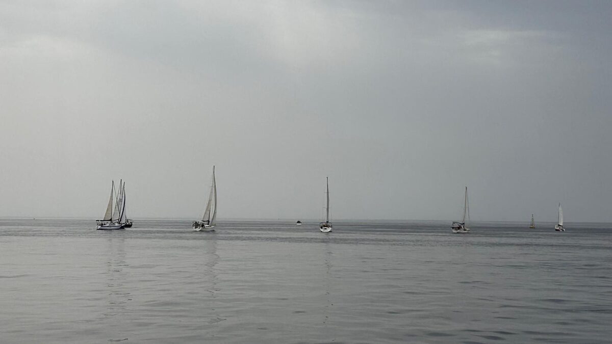 La flota de la Travesía de Doñana de ADEMAR navegando con poco viento entre Mazagón y Matalascañas